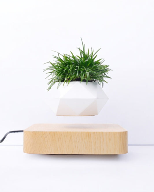 EnchantedBloom™ Levitating Air Bonsai Pot