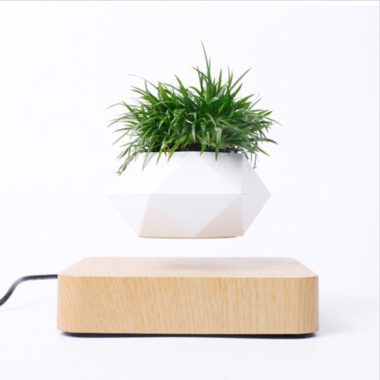 EnchantedBloom™ Levitating Air Bonsai Pot