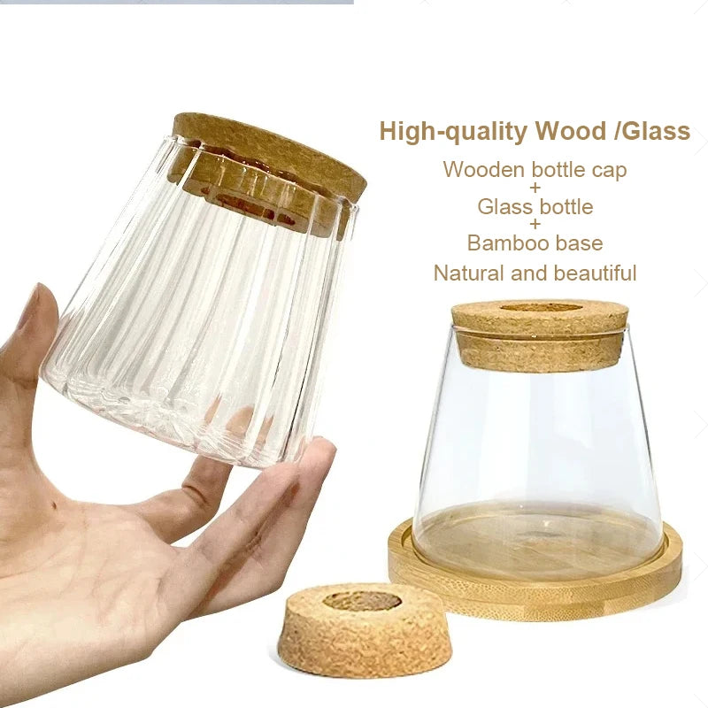 Hydroponic Glass Vases