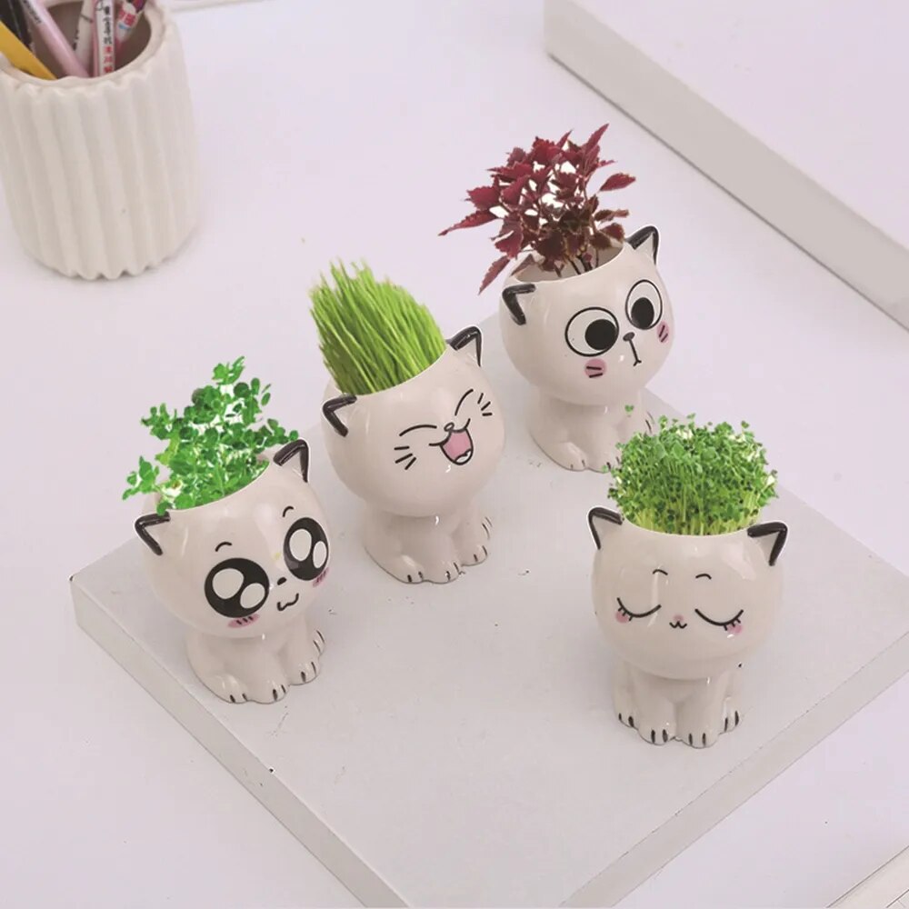 Mini Cat Cutie Ceramic Flowerpot